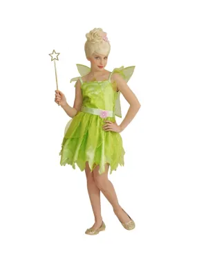 Déguisement Fée Fille vert (robe, ailes)